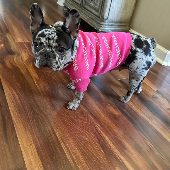 Balenciaga dog sweater - Picture 2 of 2